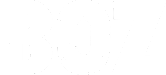 Boz